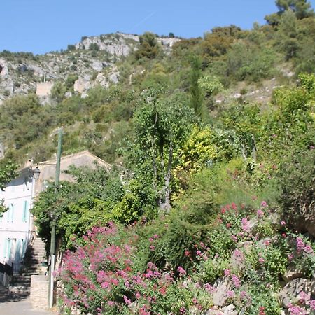 Au Bonheur De Lili Apartment Fontaine-de-Vaucluse Exterior photo